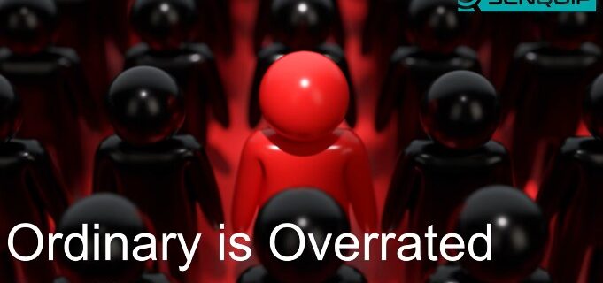 Senquip standing out in the crowd