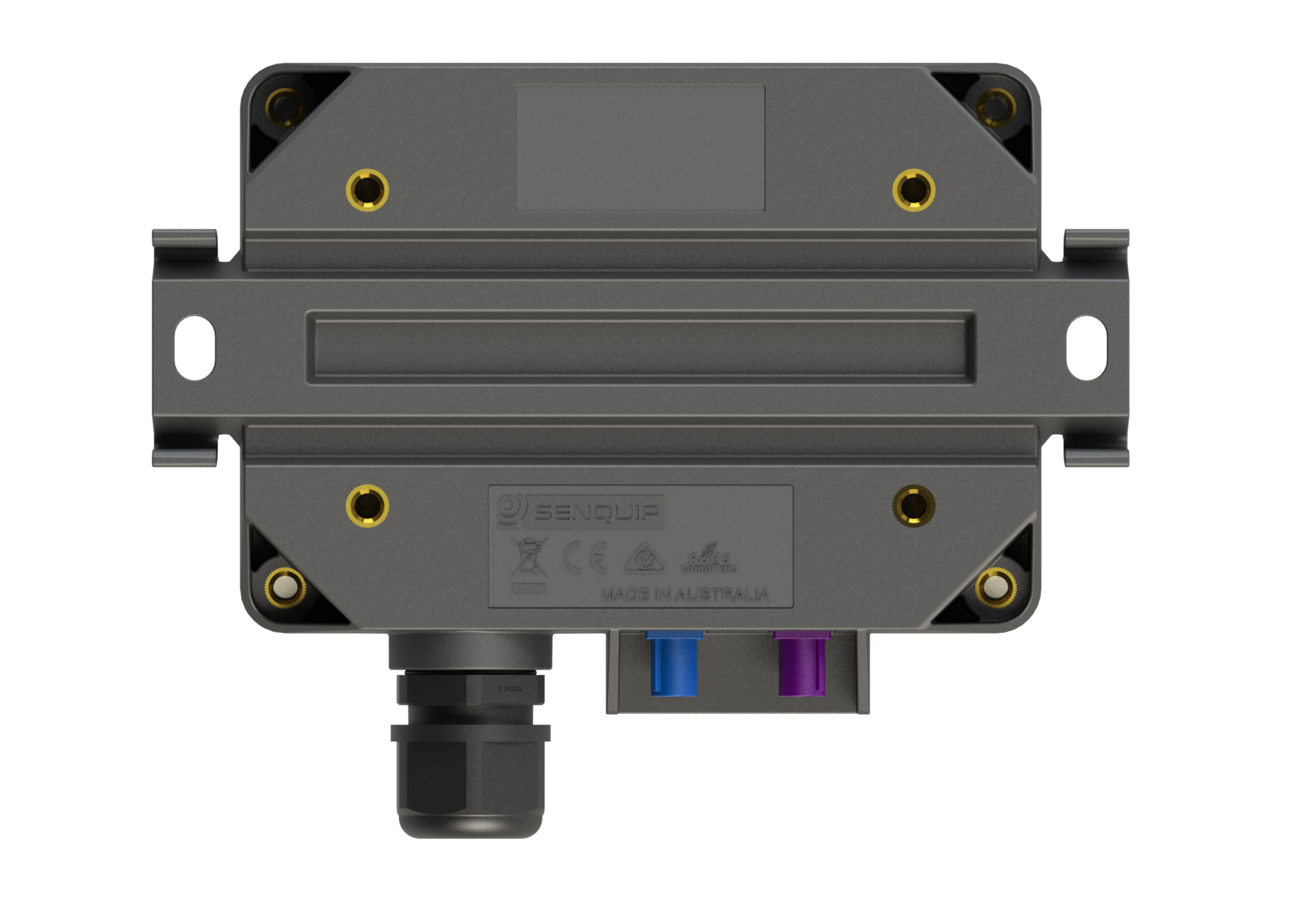QUAD Rear